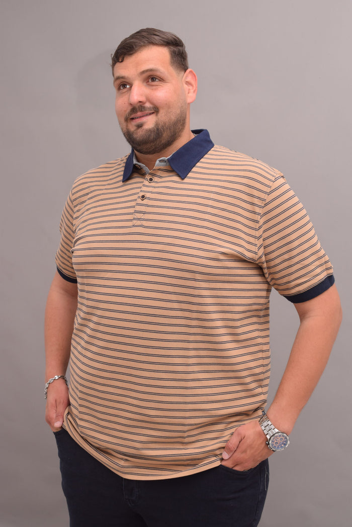 POLO RAYE  PMC2623