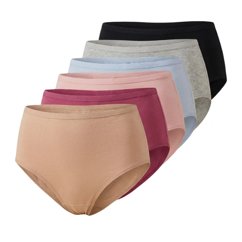 Pack 6 slips Femme coton S 12