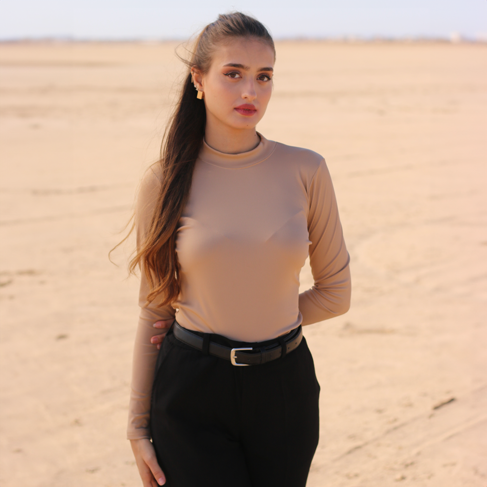 Pull Basique Manches longue