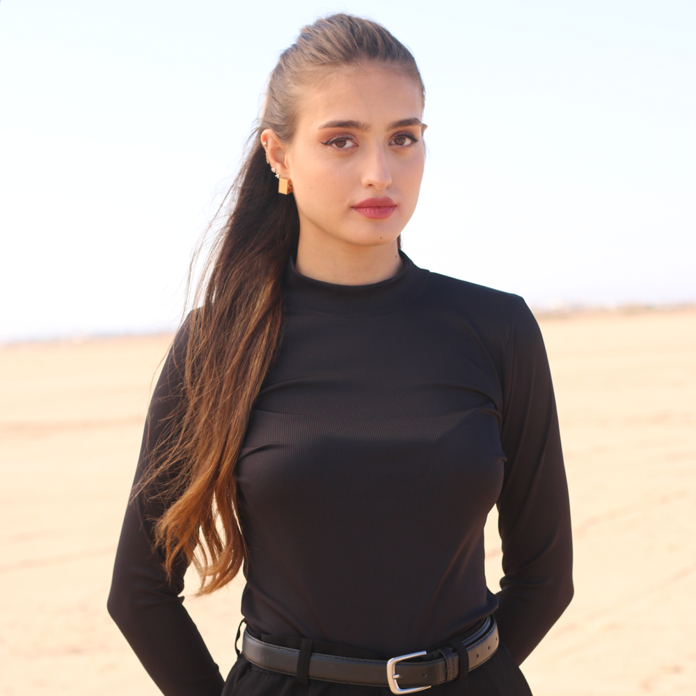 Pull Basique Manches longue
